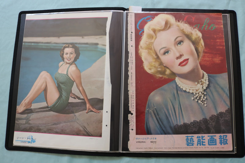 HOLLYWOOD ACTRESSES SCRAPBOOK - SUSAN HAYWARD - PAULETTE GODDARD - #49