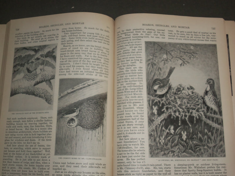 1924 MAY ST. NICHOLAS MAGAZINE - ILLUSTRATIONS, STORIES & ADS - B 4637
