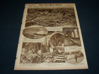 1917 NOVEMBER 18 NEW YORK TIMES ROTO PICTURE SECTION - LENINE & TROTZKY- NT 9374