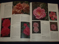 1993 THE ULTIMATE ROSE BOOK BY STIRLING MACOBOY - HARDCOVER - KD 2761