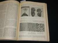 1939 MARCH THE UROLOGIC AND CUTANEOUS REVIEW MAGAZINE - J 6131