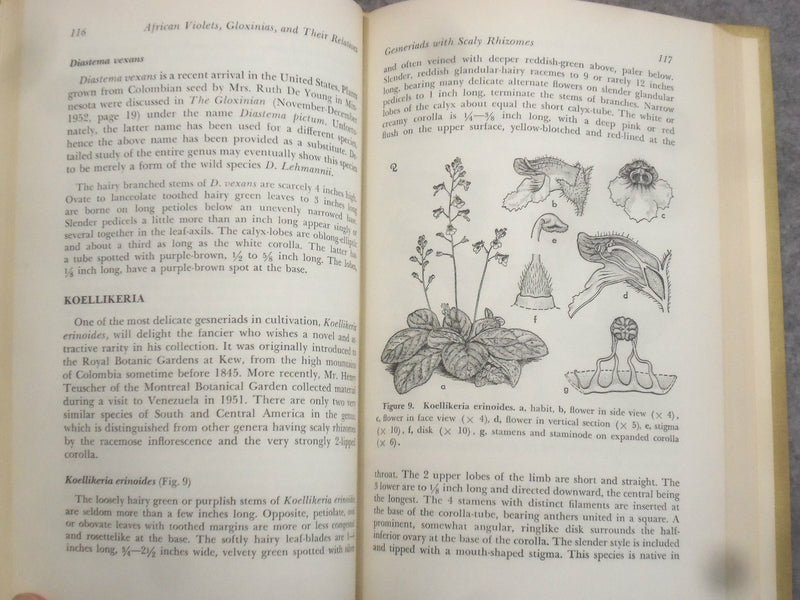 1957 AFRICAN VIOLETS, GLOXINIAS AND THEIR RELATIVES BY HAROLD MOORE JR.-KD 2760F