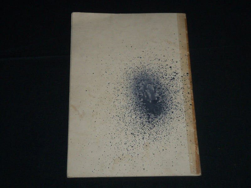 1899 WHAT SHE WORE PICTORIAL HISTORY OF WOMAN'S DRESS BOOK BY E. FELIX - J 4307