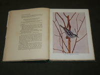 1903 BIRD NEIGHBORS HARDCOVER BOOK BY NELTJE BLANCHAN - NICE PLATES - KD 6254