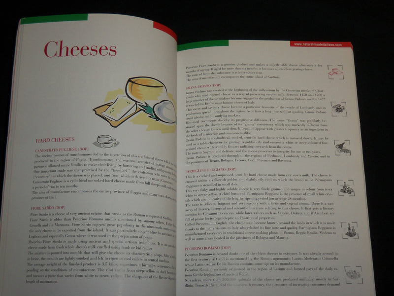 1999 A GUIDE TO ITALIAN REGIONAL SPECIALITIES SOFTCOVER BOOK - KD 7023