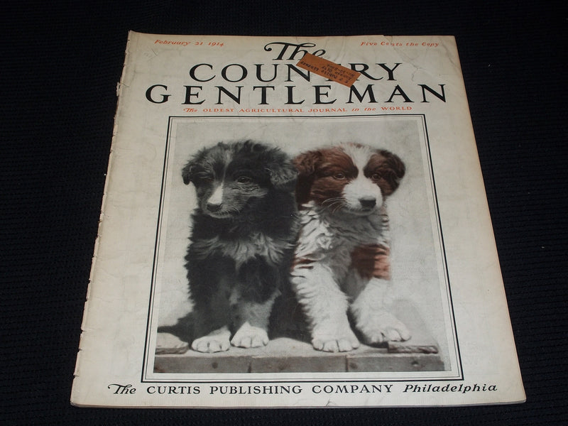 1914 FEBRUARY 21 THE COUNTRY GENTLEMAN MAGAZINE ILLUSTRATED COVER ART - E 2852