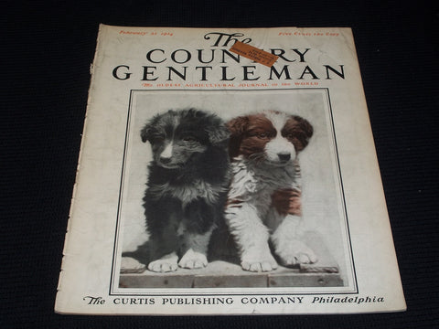 1914 FEBRUARY 21 THE COUNTRY GENTLEMAN MAGAZINE ILLUSTRATED COVER ART - E 2852