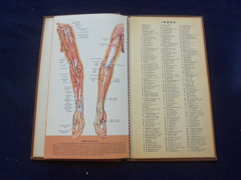 1958 TRANS-VISIONS OF ANATOMICAL CHROMOGRAPHS HARDCOVER BOOK BY DAVIS - KD 8756