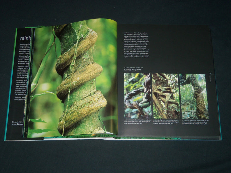 2006 RAINFOREST HARDCOVER BOOK BY THOMAS MARENT - NICE PHOTOS - I 1761