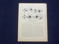 1892 JANUARY 9 THE ILLUSTRATED AMERICAN MAGAZINE - DUCHESS OF MARBOROUGH- J 9728