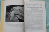 1917 NOVEMBER THE AMERICAN MUSEUM JOURNAL - PENGUINS - SOFTCOVER BOOK - K 3270