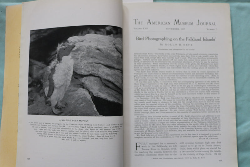 1917 NOVEMBER THE AMERICAN MUSEUM JOURNAL - PENGUINS - SOFTCOVER BOOK - K 3270