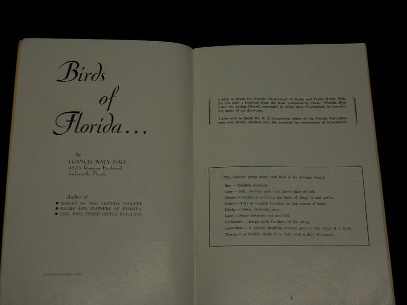 1945 BIRDS OF FLORIDA SOFTCOVER BOOK BY FRANCIS MYLY HALL - J 6563