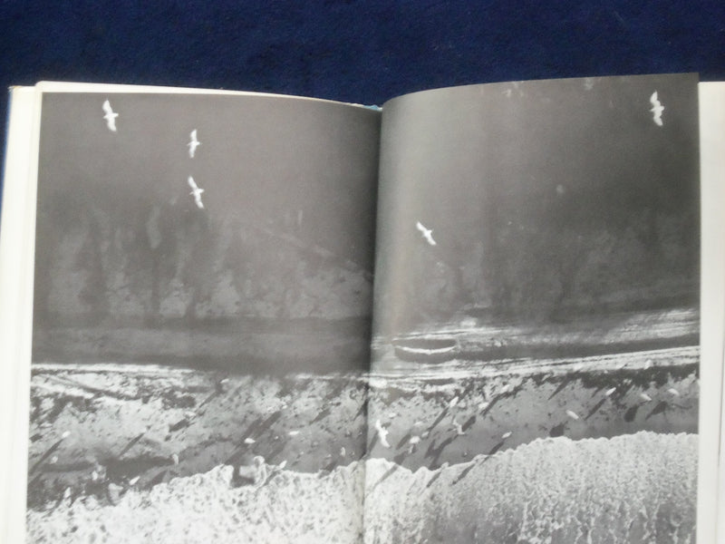 1970 JONATHAN LIVINGSTON SEAGULL HARDCOVER BOOK BY RICHARD BACH - KD 9025