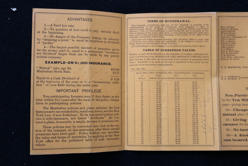 1881 MANHATTAN LIFE INSURANCE CO. OF NEW YORK REPORT - K 1976