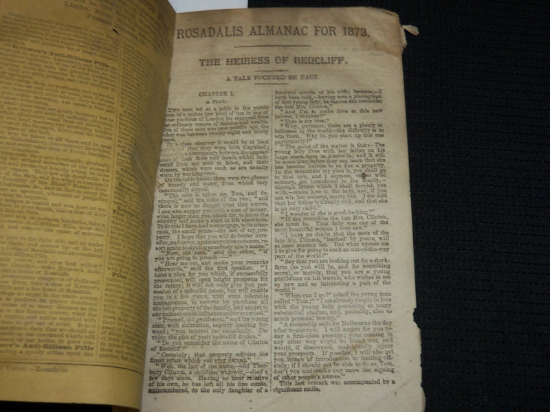 1873 ROSADALIS ALMANAC - SOFTCOVER - FLESH IN THE BLOOD - J 6868