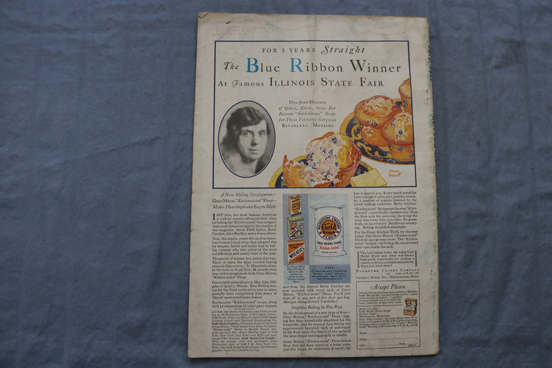 1931 JULY BETTER HOMES AND GARDENS MAGAZINE - ILLUSTRATED COVER COVER - E 9720