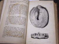 1813 MEDICO-CHITRURGICAL TRANSACTIONS VOLUME NO. 4 - NICE PLATES - KD 2059L