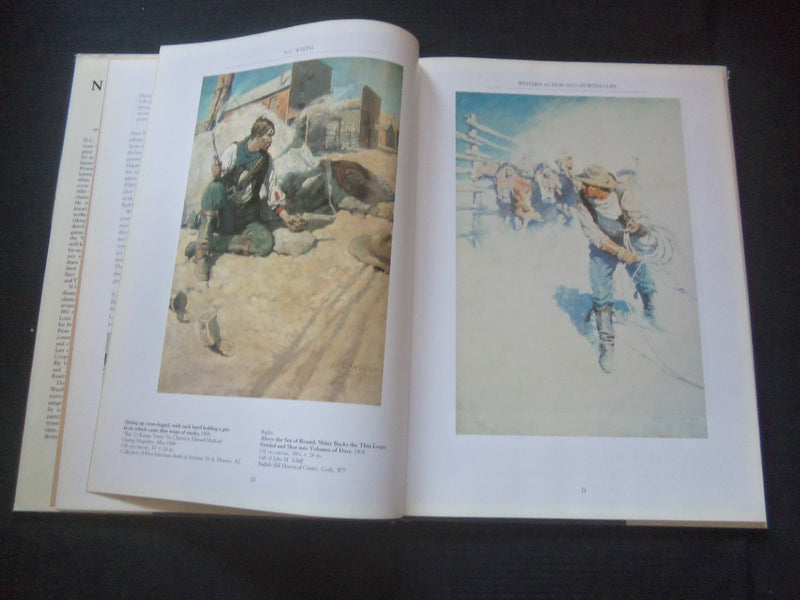 2004 N.C. WYETH HARDCOVER BOOK BY KATE JENNINGS - R 737F
