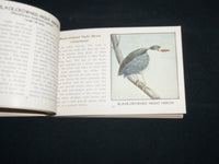 1931 THE RED BOOK OF BIRDS OF AMERICA SOFTCOVER BOOK BY ASHBROOK - J 6856