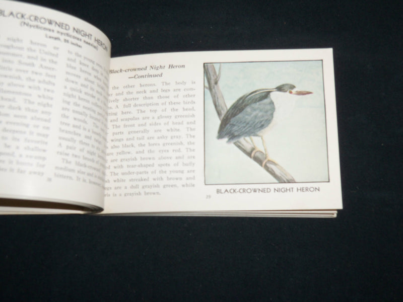 1931 THE RED BOOK OF BIRDS OF AMERICA SOFTCOVER BOOK BY ASHBROOK - J 6856