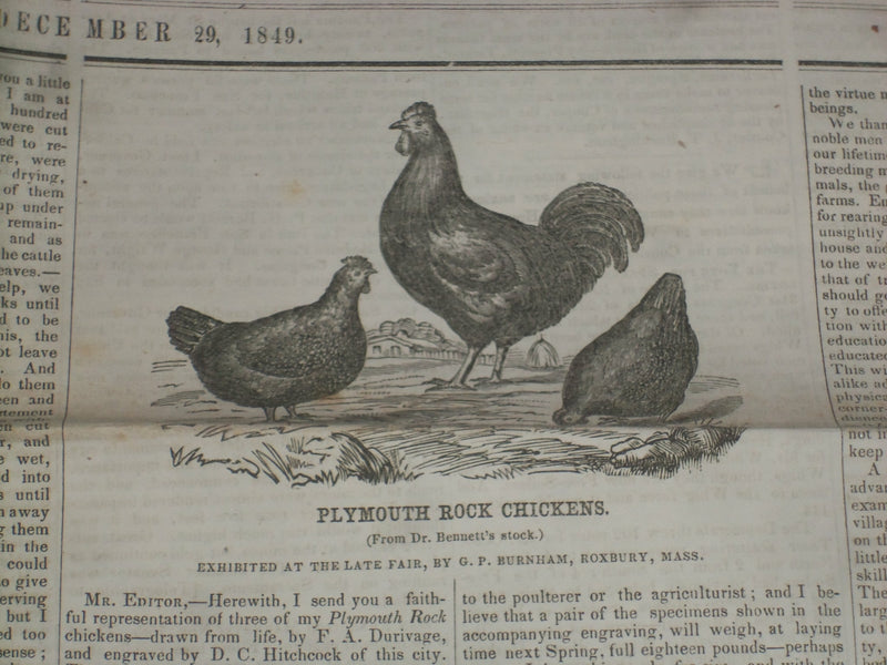 1849 DEC 29 MASSACHUSETTS PLOUGHMAN NEWSPAPER - ZACHARY TAYLOR ADDRESS - NP 5175