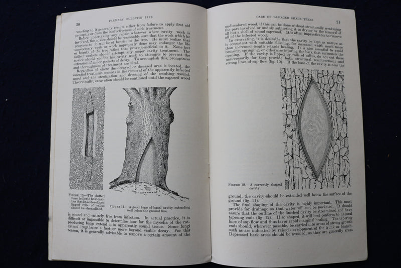 1942 & 1948 SHADE TREES CARE & COMMON DISEASES SOFTCOVER BOOKS -LOT OF 2- K 1414