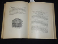 1898 INDIA THE HORROR STRICKLEN EMPIRE HARDCOVER BOOK BY GEORGE LAMBERT- KD 9412