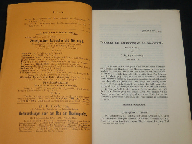 1894-1904 ZOOLOGISCHE JAHRBUCHER FUR ANATOMIE UND ONTOGENIE LOT OF 39 - WR 1112