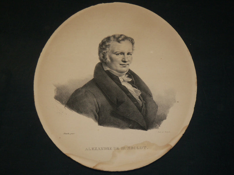1800'S ALEXANDRE DE HUMBOLDT 13 1/2