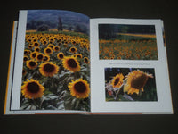 1986 SUNFLOWERS FOR VAN GOGH BY DAVID DOUGLAS DUNCAN BOOK - I 867