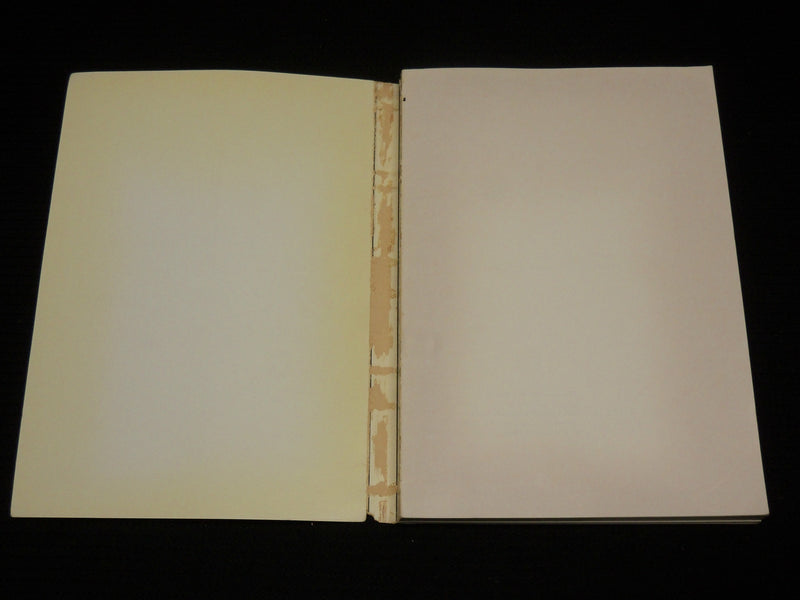 1955 PITTSBURGH INTERNATIONAL EXHIBITION OF CONTEMPORARY PAINTING BOOK - J 7029