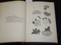1900 WASHINGTON ACADEMY OF SCIENCES PROCEEDINGS VOLUME NO. 2 - PLATES - KD 5909