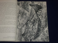 1969 THE OSBERG FIND SOFTCOVER BOOK BY THORLEIF SJOVOLD - NICE PHOTOS - J 1651