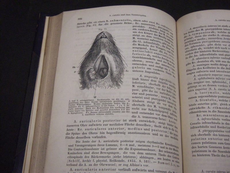 1868 DIE ANATOMIE DES KANINCHENS BY DR. W. KRAUSE GERAMN VOLUME - KD 39