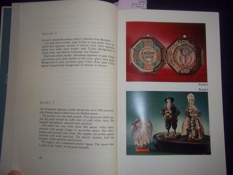 1962 THE ROMANCE OF SHELLS HARDCOVER BOOK-20 OF 400 - L. TRAVERS SIGNED -KD 8150