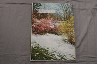 1954 MARCH HORTICULTURE MAGAZINE - BEAUTIFUL SCENERY COVER - ST 1015V