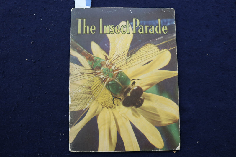 1950'S BIRDS & INSECT PARADE SOFTCOVER BOOKS BY BERTHA PARKER - LOT OF 2- K 1376
