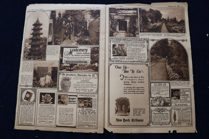 1924 FEB 10 NY TRIBUNE GARDEN GRAPHIC SECTION- PEARL WHITE-ELSIE JANIS - NP 8757