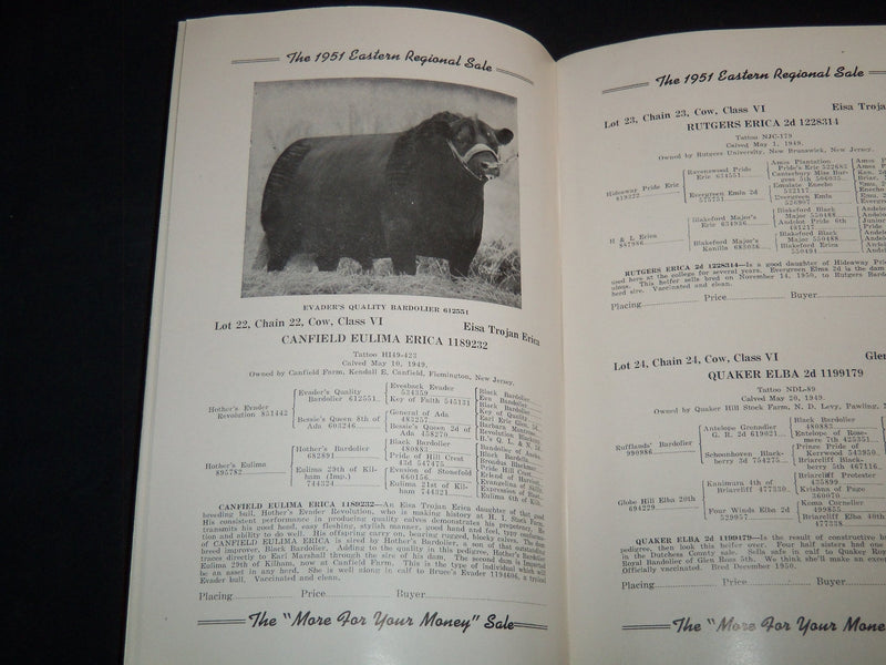 1951 EASTERN REGIONAL ABERDEEN-ANGUS BREEDERS' CATTLE SALE CATALOG - J 9113