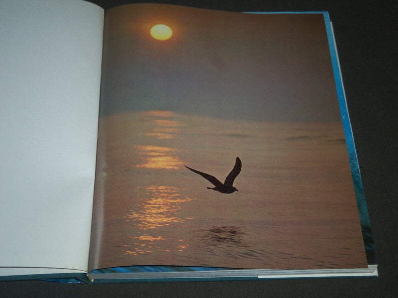 1975 THE DRAMA OF THE OCEANS BY ELISABETH MANN BORGESE BOOK - KD 4102