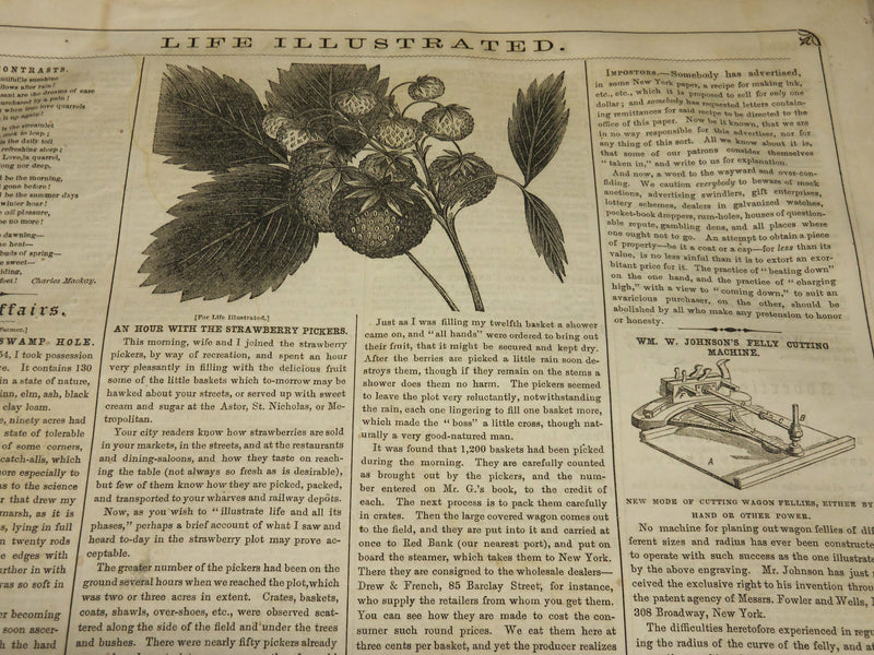 1956 JUNE 28 LIFE ILLUSTRATED NEWSPAPER - JOHN FREMONT NOMINATED - NP 4852