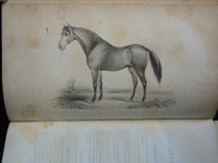 1836-1837 AMERICAN TURF REGISTER AND SPORTING MAGAZINE BOUND VOLUME - KD 7817