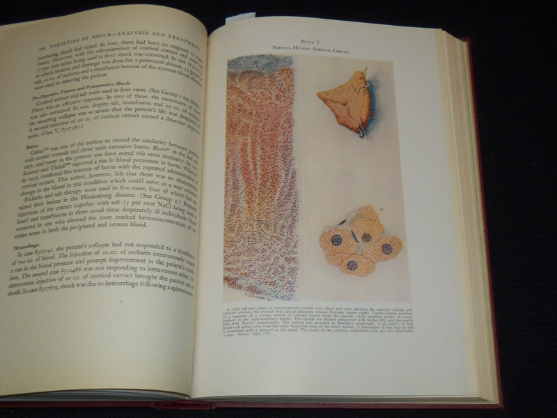 1940 SHOCK - BLOOD STUDIES BOOK INSCRIBED BY JOHN SCUDDER M. D. - KD 7842