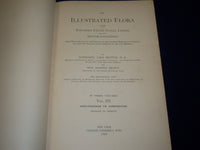1898 AN ILLUSTRATED FLORA OF NORTHERN US & CANADA VOLUME NO. 3 - KD 3557