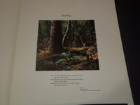 1954 WOODLAND PORTRAITS VOLUME BY JEANNETTE KLUTE - KODAK - 50 PLATES - KD 6247B