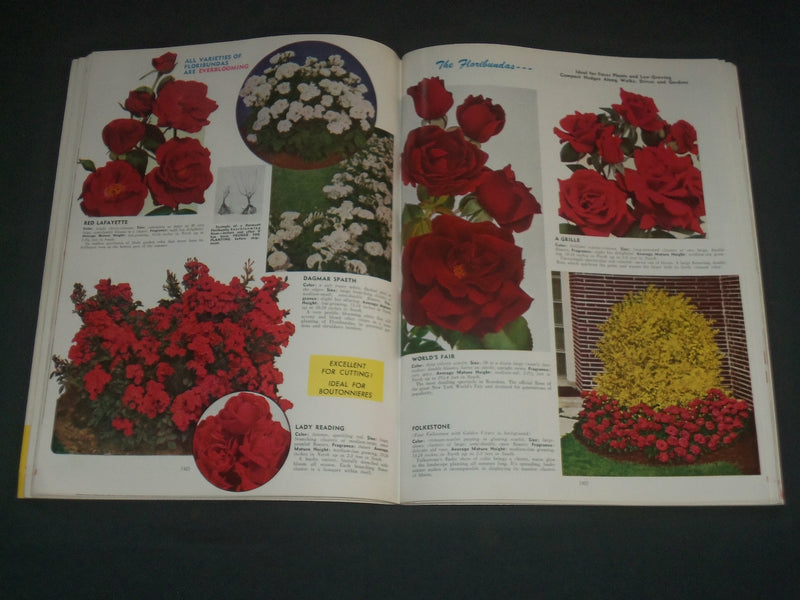 1950'S C. W. STUART & CO. NURSERY CATALOG - NEWARK, NEW YORK - PHOTOS - J 3973