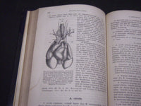 1868 DIE ANATOMIE DES KANINCHENS BY DR. W. KRAUSE GERAMN VOLUME - KD 39