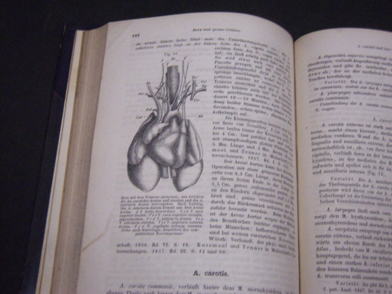 1868 DIE ANATOMIE DES KANINCHENS BY DR. W. KRAUSE GERAMN VOLUME - KD 39