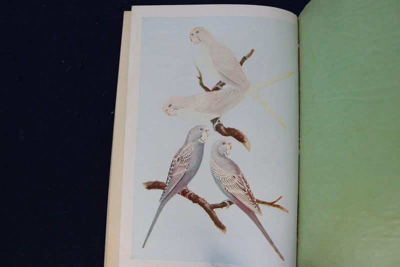 1940'S PARRAKEETS - THEIR CARE AND BREEDING SOFTCOVER BOOK - K 1332